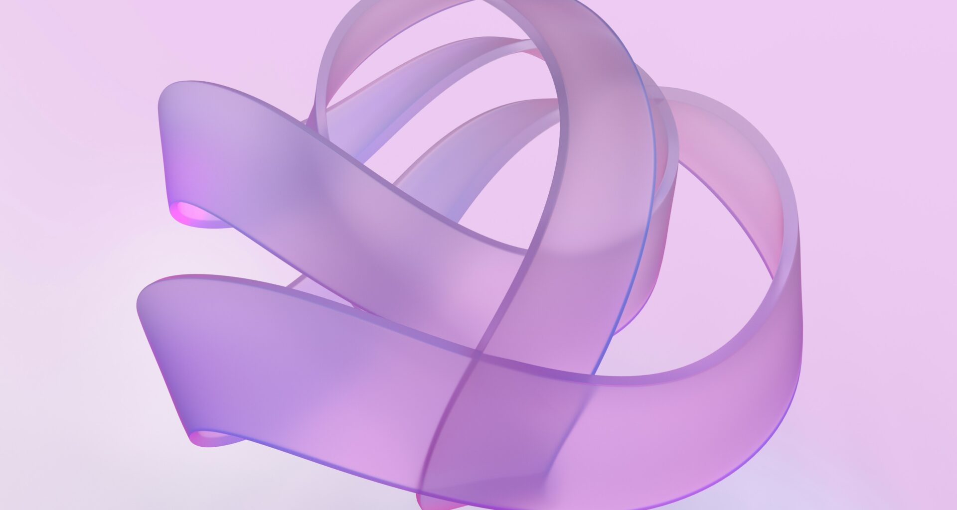 wp design