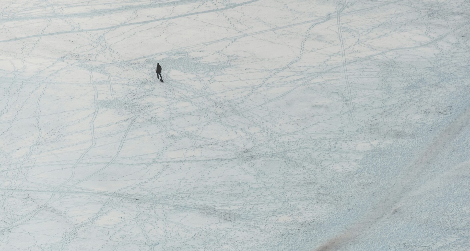 wyniki sportowe z ameryki północnej